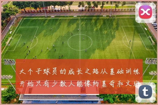 大个子球员的成长之路从基础训练开始只有少数人能像约基奇和文班那样成功