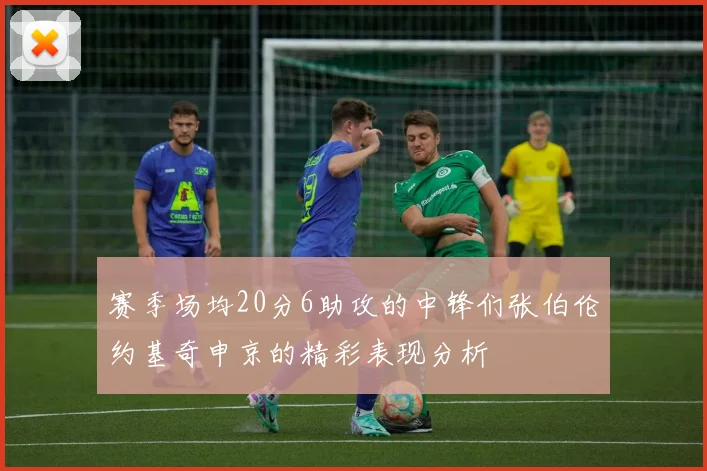 赛季场均20分6助攻的中锋们张伯伦约基奇申京的精彩表现分析